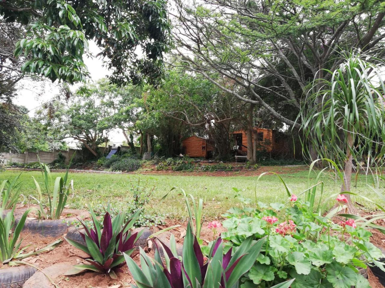 Beach Wood Cottages Shelly Beach Eksteriør bilde