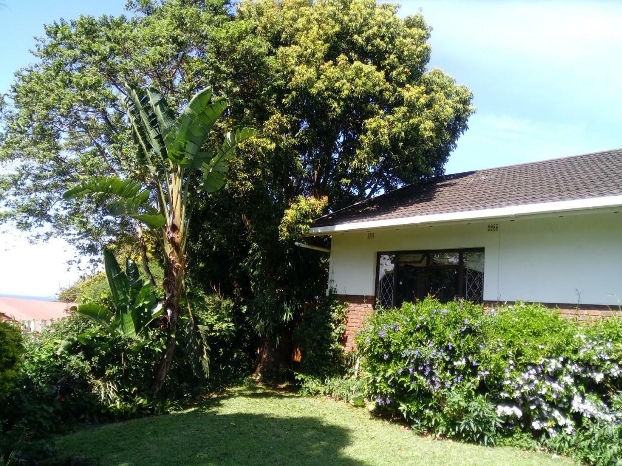 Beach Wood Cottages Shelly Beach Eksteriør bilde