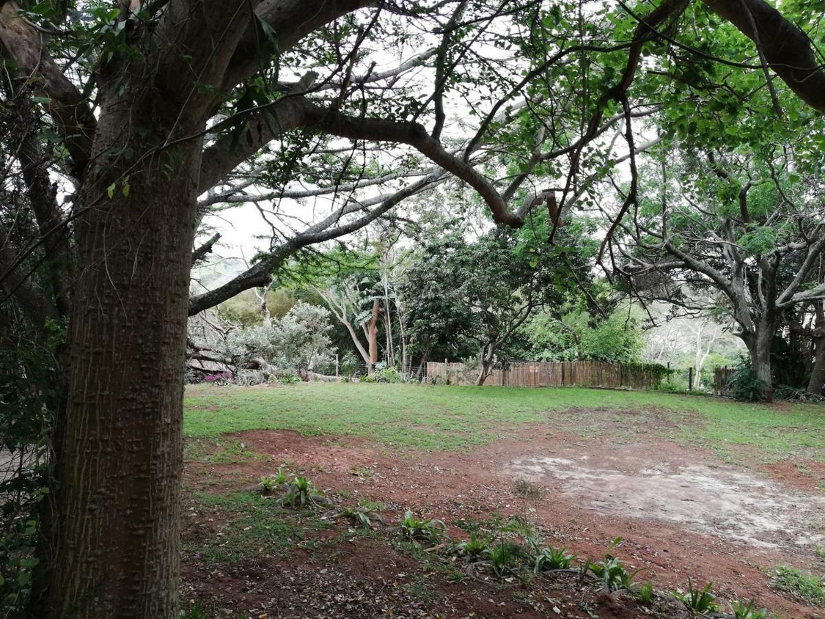 Beach Wood Cottages Shelly Beach Eksteriør bilde