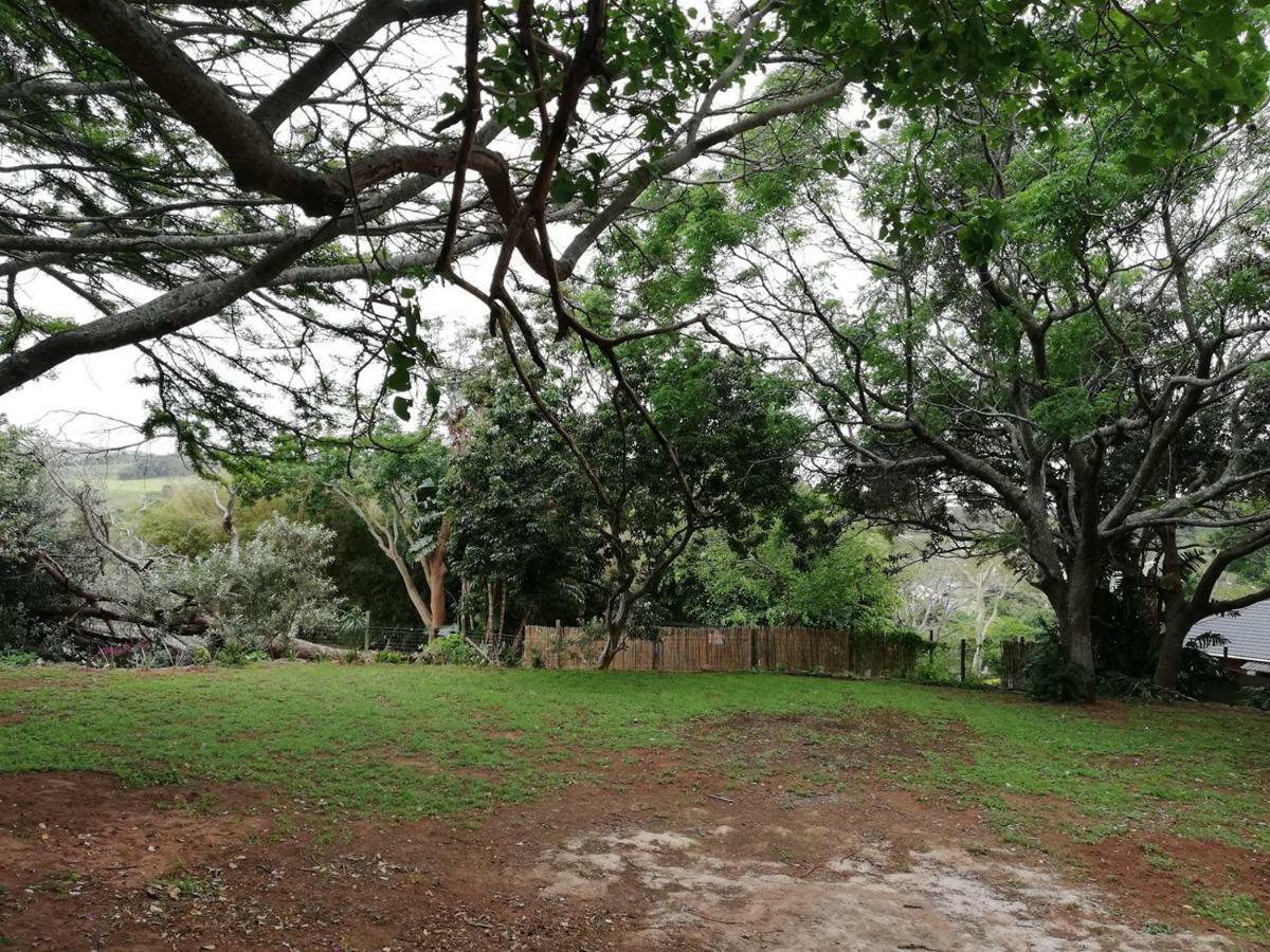 Beach Wood Cottages Shelly Beach Eksteriør bilde