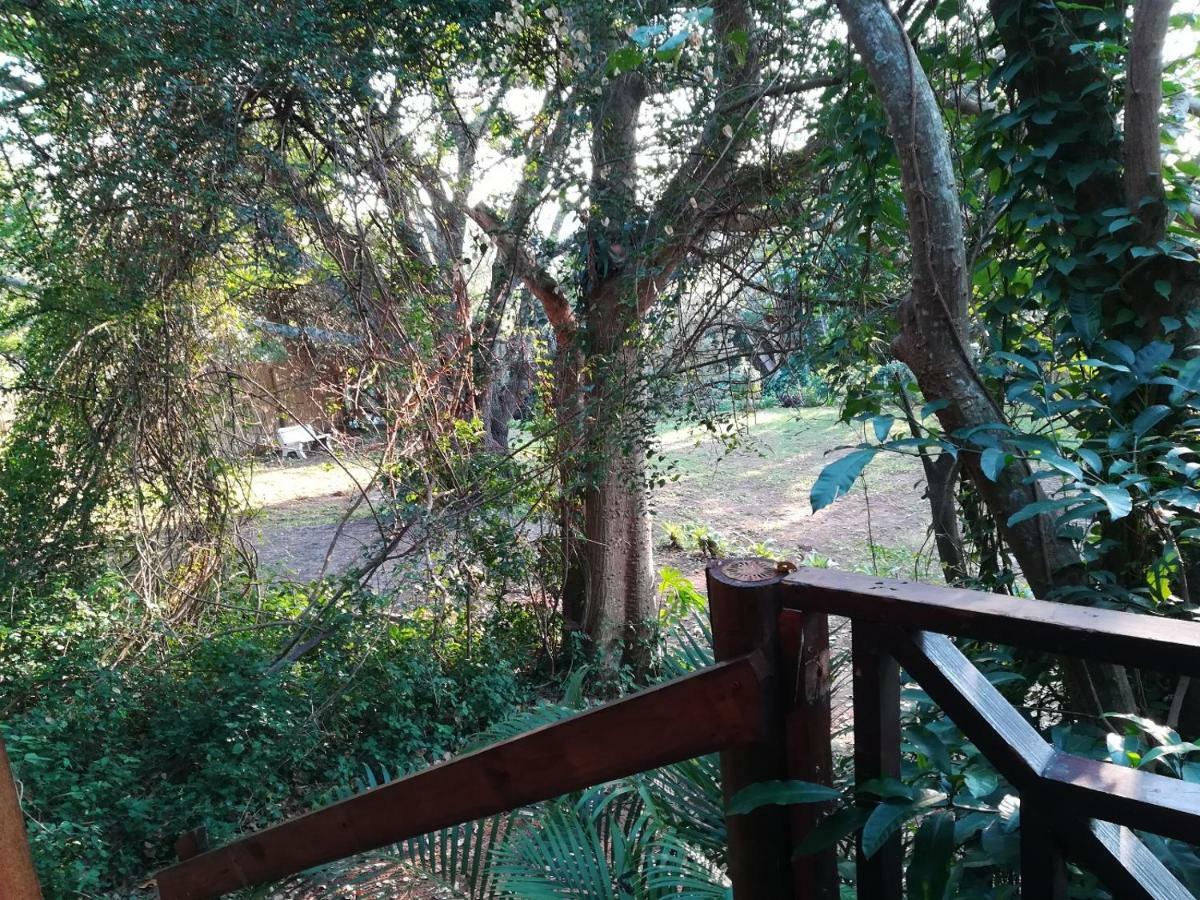 Beach Wood Cottages Shelly Beach Eksteriør bilde